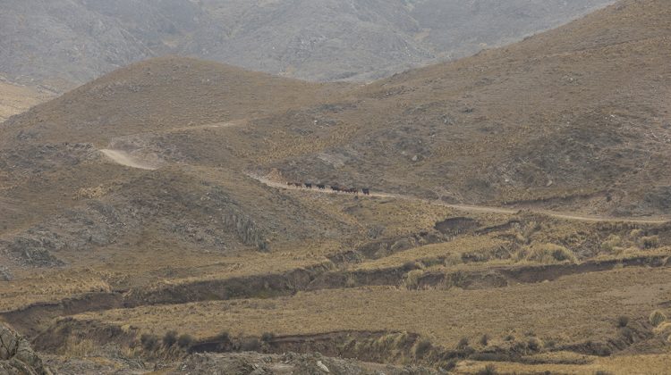 El viento norte dominará durante todo el miércoles