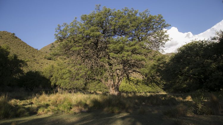 El clima en la semana comenzará a mejorar desde la tarde de este martes