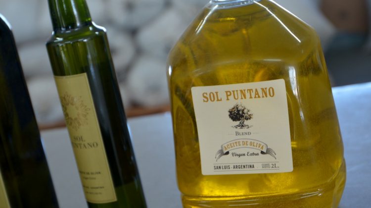 “Sol Puntano” alcanzó una producción récord de 2.500 litros de aceite de oliva extra virgen