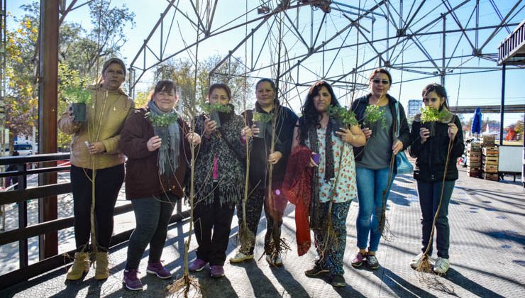 Frutales y aromáticas llegan desde este lunes a siete barrios villamercedinos