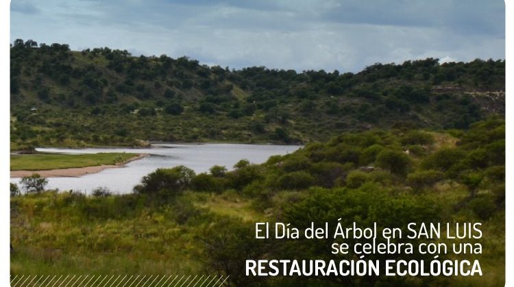 El Día Nacional del Árbol en San Luis se celebrará forestando