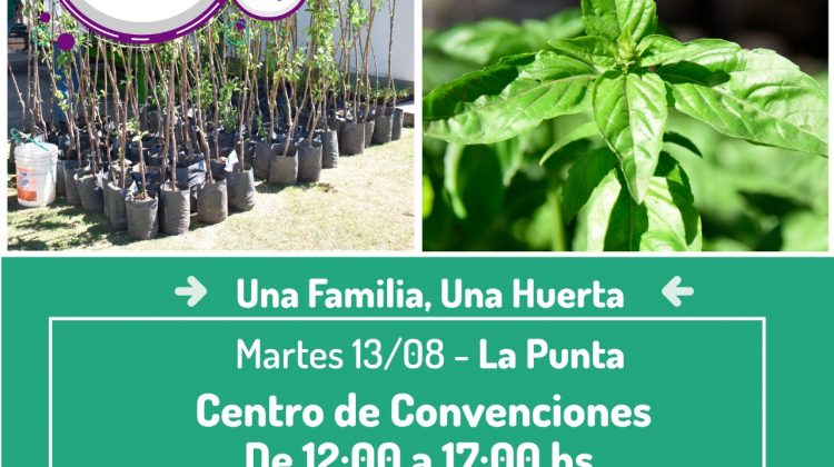 “Una familia, una huerta” entrega este martes frutales y aromáticas en La Punta