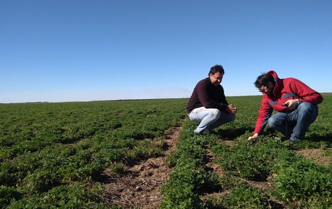 ALFAZAL: el equipo técnico de San Luis Logística visita a los productores de la Cuenca del Morro