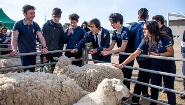 Con exposición de animales y la entrega de 900 aromáticas, el Gobierno acompañó la Jornada de Puertas Abiertas en la UCCuyo San Luis