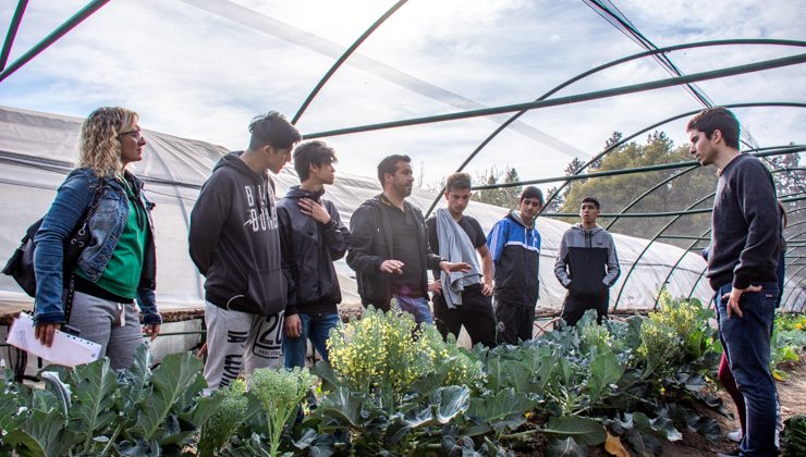 La Escuela Generativa “Academia Auriazul” visitó el vivero frutihortícola 