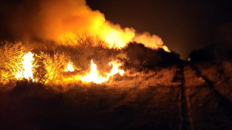 Damián Gómez: “Estamos con altas probabilidades de incendio, por eso hay que ser muy cautelosos”