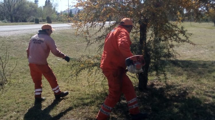 Continúan los trabajos de poda correctiva y limpieza en rutas y autopistas provinciales
