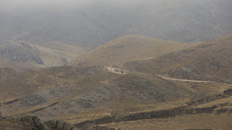 El jueves estará gris, fresco y con vientos del noreste