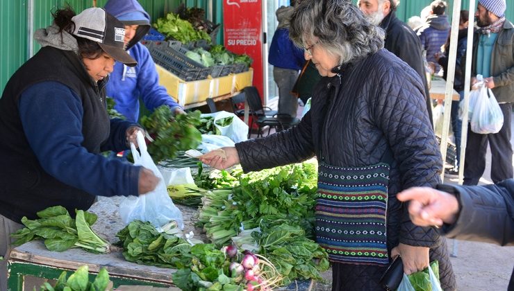 Se viene otro jueves de Feria con verduras de estación y “Carnes San Luis”