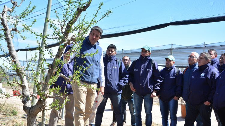 La cartera productiva capacitó a su personal en poda de formación de frutales