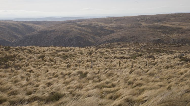 La semana comienza con vientos fríos y muy intensos del sur