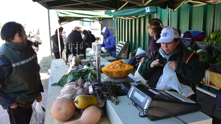 “Sol Puntano” realizó una nueva feria con carnes y verduras de estación