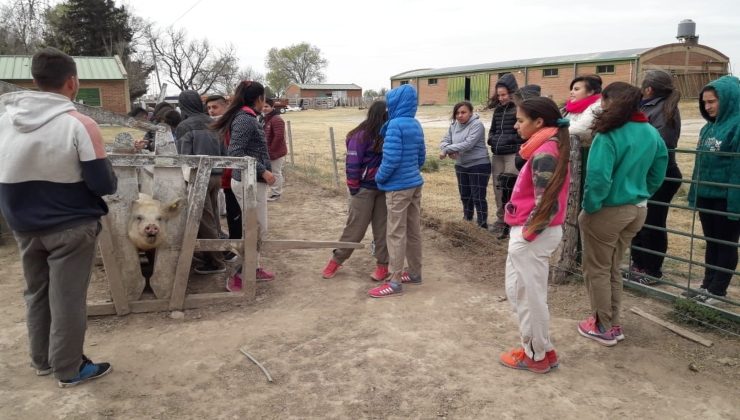 Impulsan el desarrollo de módulos productivos en escuelas agrotécnicas