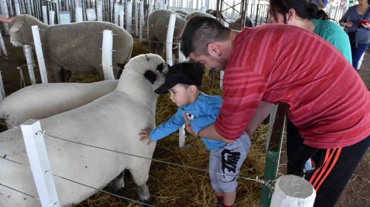 “La Pedrera” participará de la 90º Expo Rural de Villa Mercedes