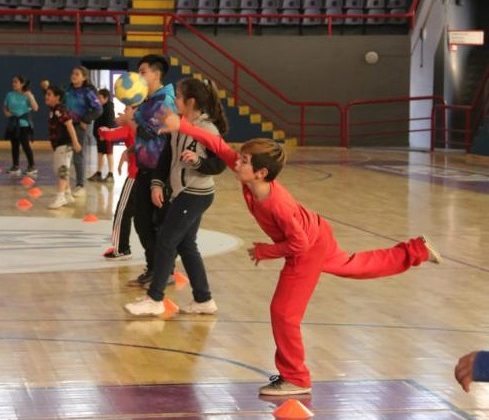 Realizarán un encuentro de handball en el “Ave Fénix”