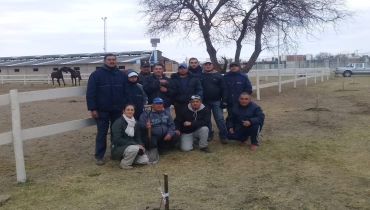 Continúa el Plan Forestal en diferentes espacios de San Luis