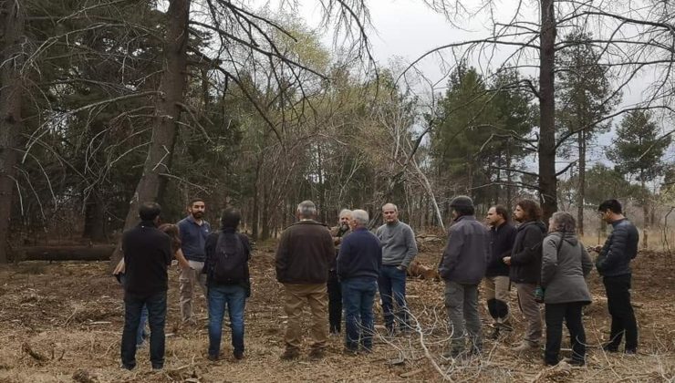 Medio Ambiente participó en el taller de Planes de Manejo Silvopastoril