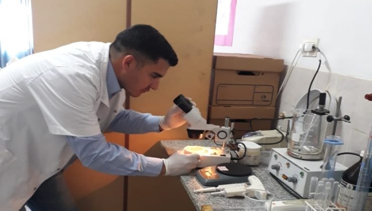 Con el asesoramiento del Ministerio de Producción, Candelaria habilitó un laboratorio para análisis de triquinosis