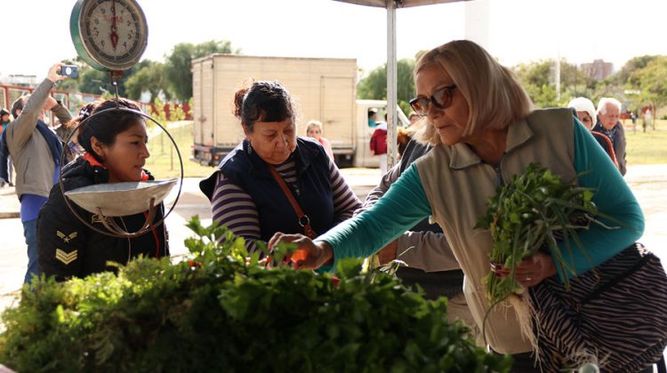 Feria Itinerante: la primera parada de octubre será en el barrio 500 Viviendas Sur