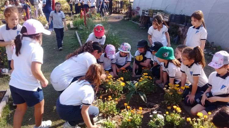 Más de 400 alumnos visitan por día el Parque de las Naciones