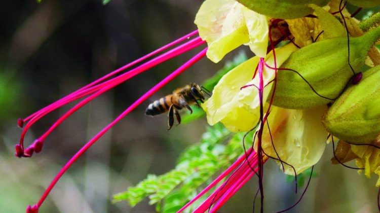 El invierno no se quiere ir: la primavera comienza el 23 de septiembre