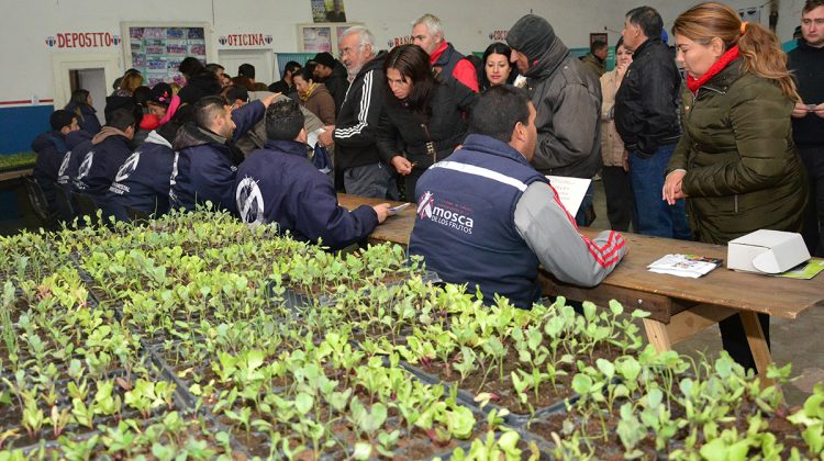 Los plantines hortícolas de la temporada ya llegaron a más de 1.200 familias de siete barrios capitalinos