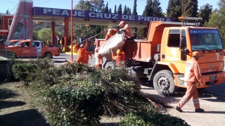 Intensos trabajos de poda correctiva, corte de pasto y limpieza en las rutas provinciales