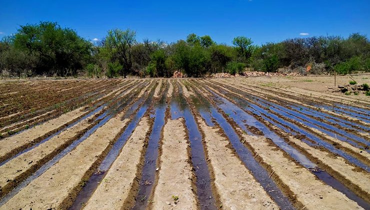 El agua como motor para la reconversión productiva en el departamento Ayacucho