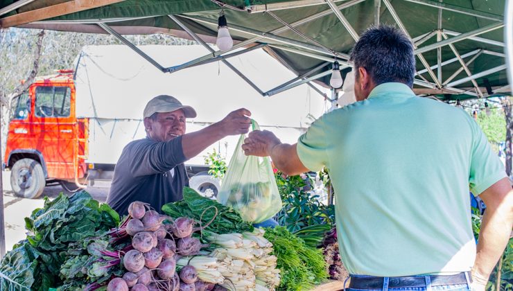 Sol Puntano vuelve a ofrecer productos de calidad y a buen precio