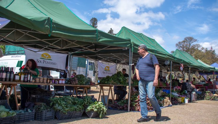 Tres nuevas oportunidades de adquirir productos de Sol Puntano a buen precio y calidad