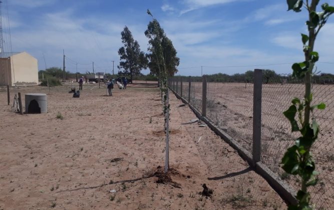 Las acciones forestales se extienden a todos los parajes de San Luis