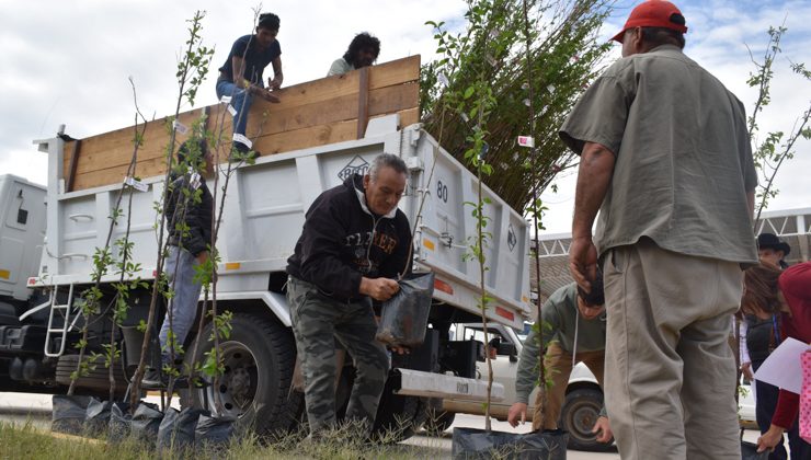 “Reconversión Productiva”: el Gobierno impulsa el desarrollo de parcelas hortícolas y frutícolas en el norte provincial