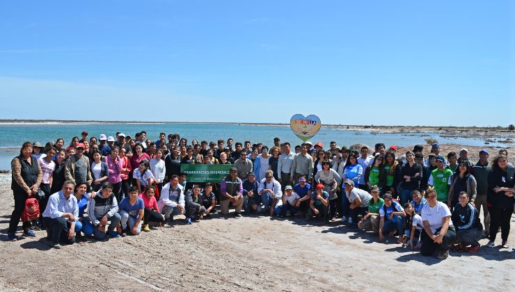 Restauración ecológica: masiva plantación en las Lagunas de Guanacache, Desaguadero y del Bebedero