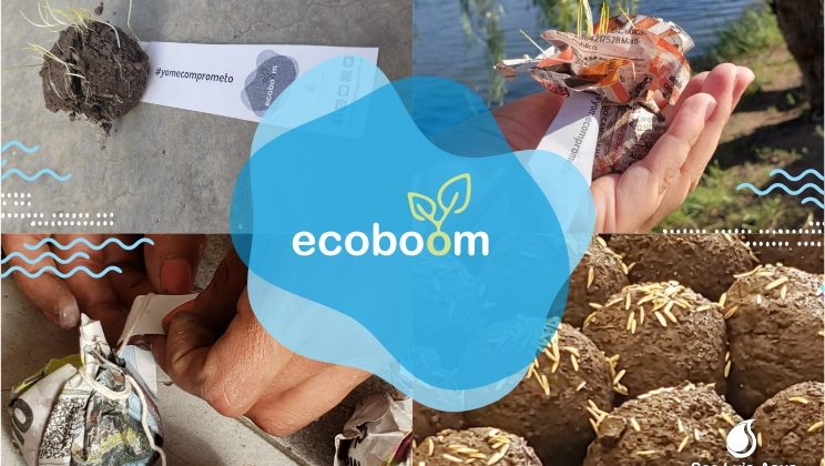 Las Ecoboom, una idea amigable con el ambiente que echa raíz entre los más chicos
