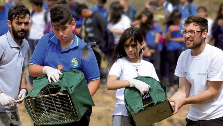 Volar en libertad: la Reserva Florofaunística fue testigo de una nueva liberación de aves