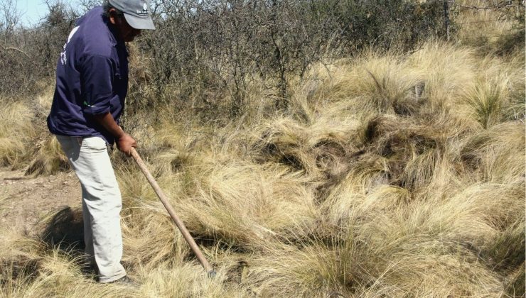 Está en marcha el reacondicionamiento integral de la traza