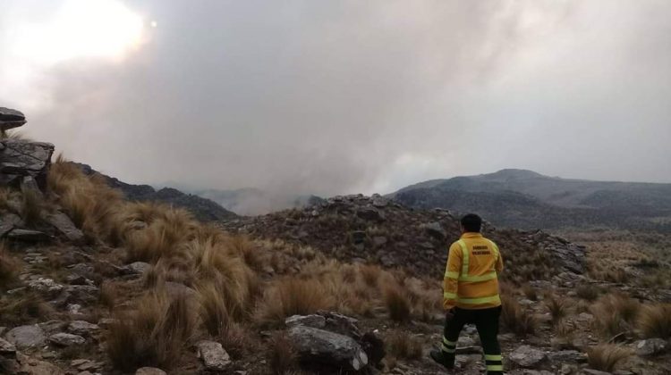 Bomberos y brigadistas combaten un incendio en Sierras de los Comechingones