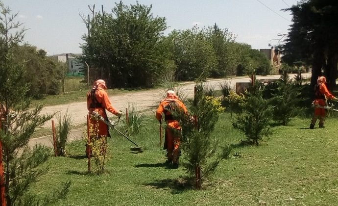 Intensifican los operativos de corte de pasto y limpieza en las rutas y autopistas de la provincia