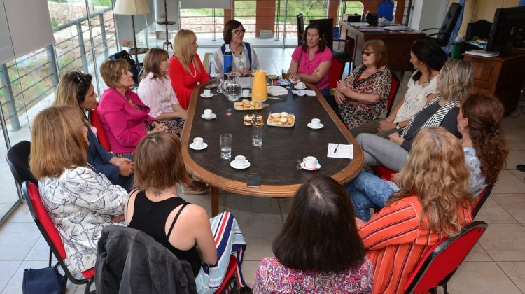 Comenzaron las reuniones del Observatorio Provincial de Violencia contra la Mujer