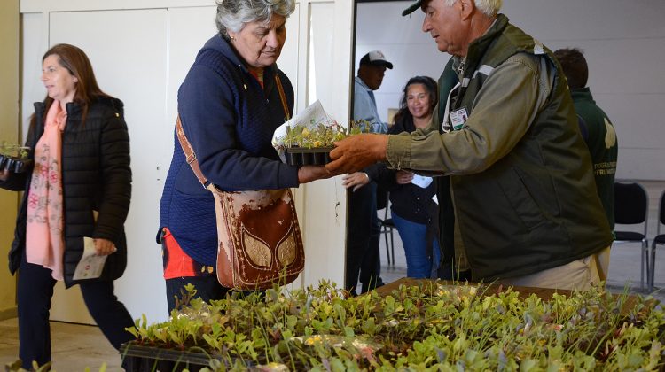 Más de 2.500 vecinos de La Punta recibieron sus bandejas hortícolas