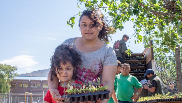 Cientos de nuevas familias puntanas comenzaron a armar su huerta