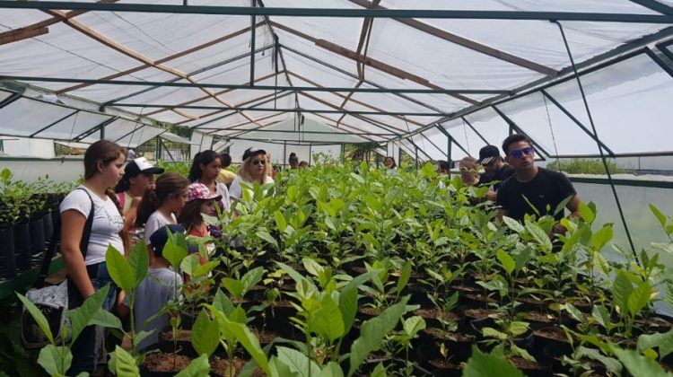 Los alumnos de Represa del Carmen visitaron el Vivero Provincial