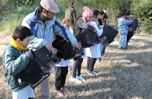 Medio Ambiente liberará 40 aves recuperadas del tráfico ilegal