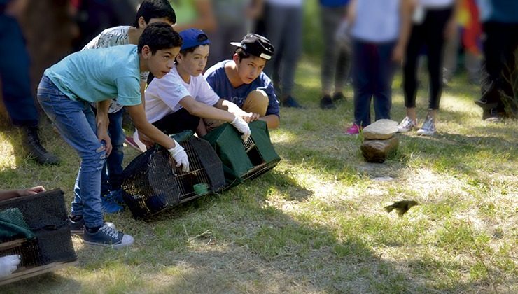 Las Higueritas fue testigo de la última liberación de aves del año