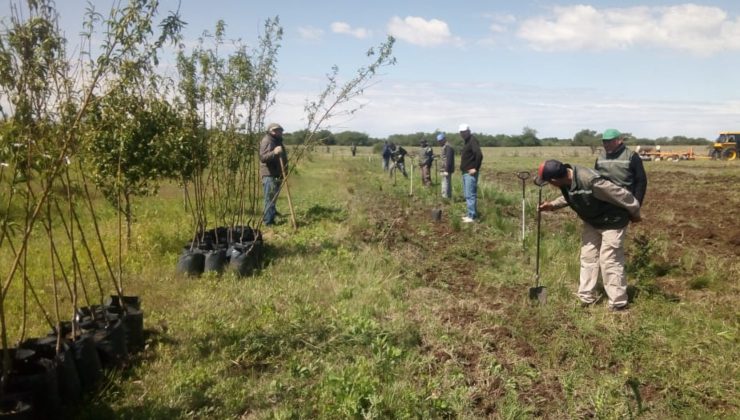 Más de 200 frutales renuevan el aprendizaje en la “Escuela Agraria” de Villa Mercedes