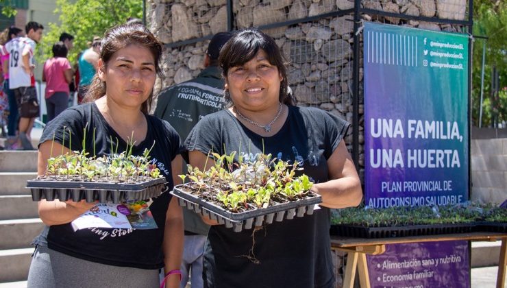 Este viernes entregan plantines hortícolas en el barrio Jardín San Luis 