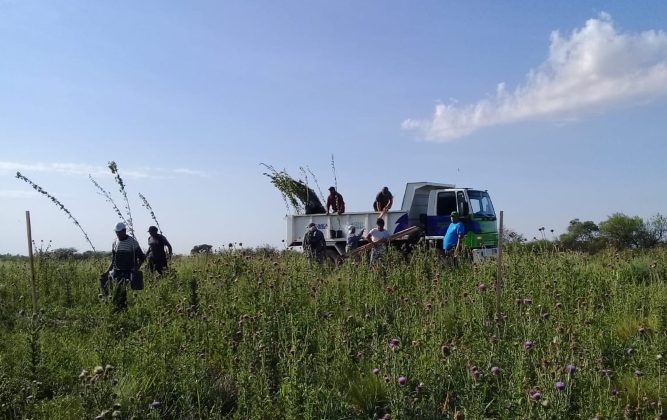 Continúan las acciones forestales en la Cuenca del Morro y parajes provinciales