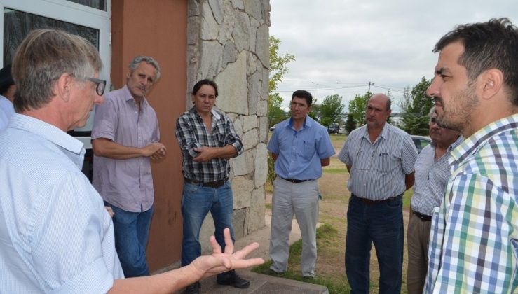 “Carnes San Luis”: expectativa por parte de los productores por la venta de cortes de cordero