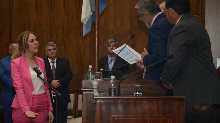 Juraron en sus cargos los nuevos senadores provinciales