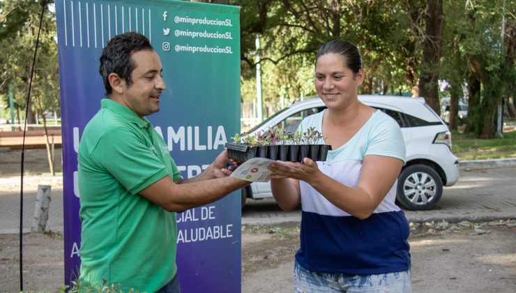 Plan “Una familia, una huerta”: más de 1.000 familias de Juana Koslay retiraron sus bandejas hortícolas